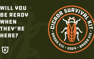 Cicada Survival Kit