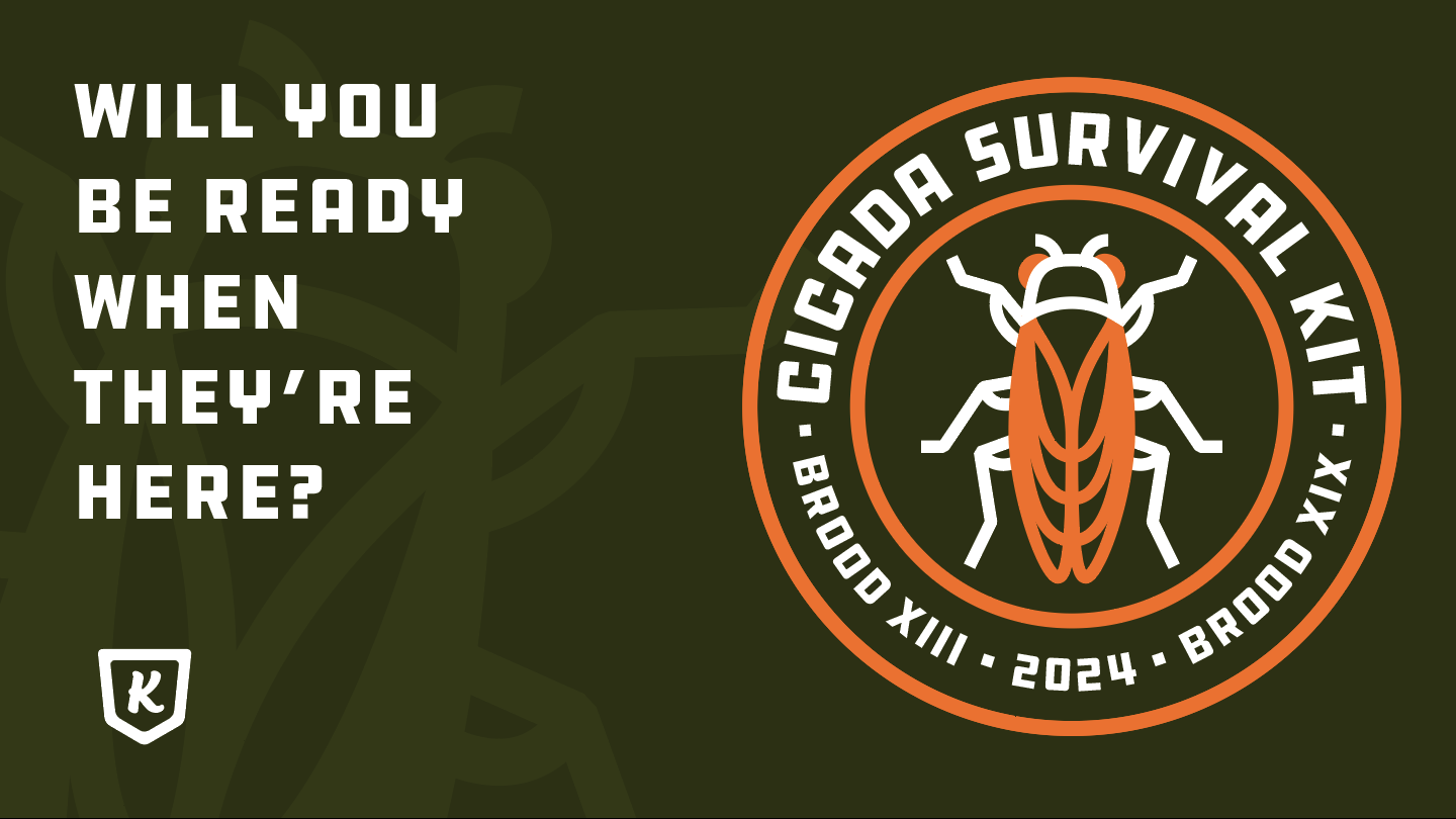 Cicada Survival Guide